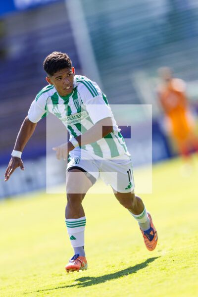 20260228 | Albion vs. Racing – _EOP7953