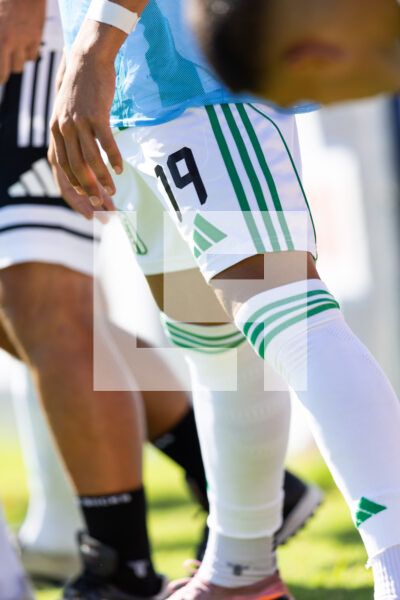 20260228 | Albion vs. Racing – _EOP8344