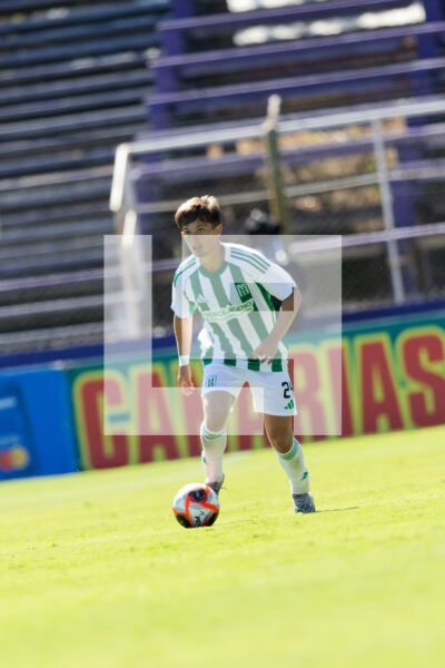 20260228 | Albion vs. Racing – _EOP8522