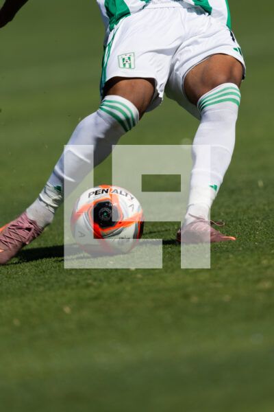 20260228 | Albion vs. Racing – _EOP8729