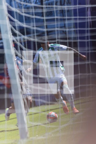 20260228 | Albion vs. Racing – _EOP9212