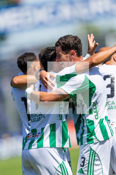 20260228 | Albion vs. Racing – _EOP9311