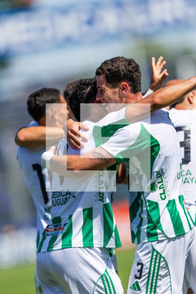 20260228 | Albion vs. Racing – _EOP9312