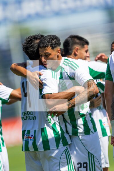 20260228 | Albion vs. Racing – _EOP9318